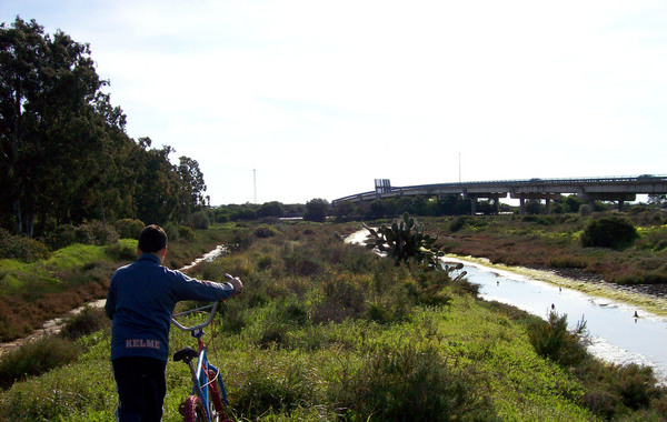 Product picture La strada fra le paludi.  